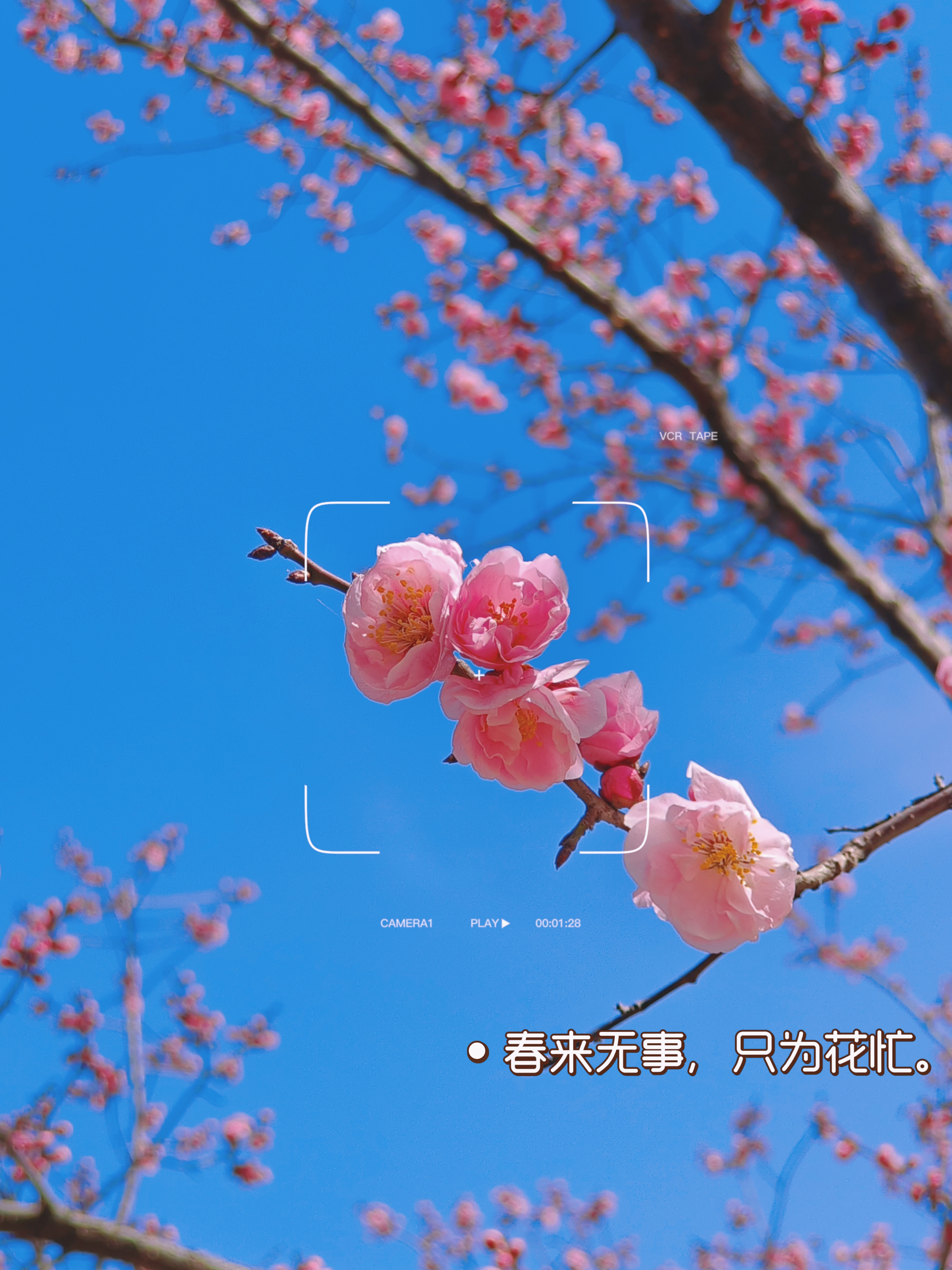 os-lab5实验报告